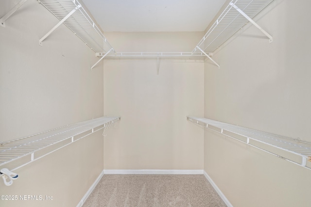 1655 The Greens Way Unit 2615, Jacksonville Beach, FL 32250 - photo 15