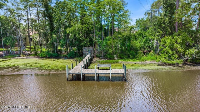 5400 La Moya Ave Unit 30, Jacksonville, FL 32210 - photo 73