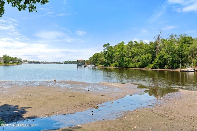 5400 La Moya Ave Unit 30, Jacksonville, FL 32210 - photo 78