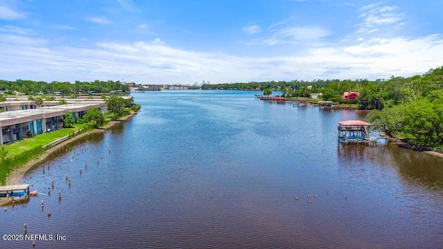 5400 La Moya Ave Unit 30, Jacksonville, FL 32210 - photo 79