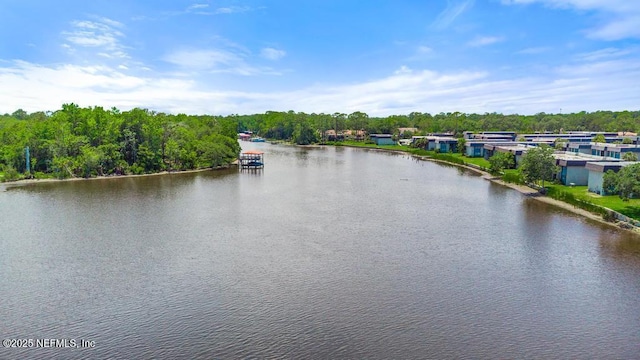 5400 La Moya Ave Unit 30, Jacksonville, FL 32210 - photo 81