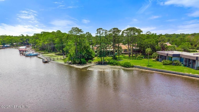 5400 La Moya Ave Unit 30, Jacksonville, FL 32210 - photo 83