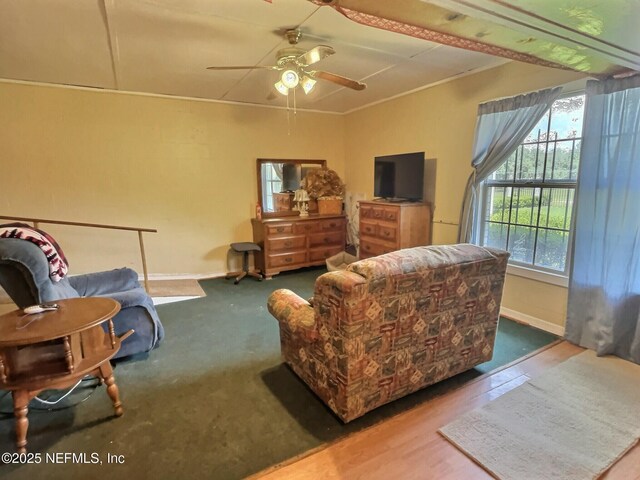 527 County Road 310, Palatka, FL 32177 - photo 22