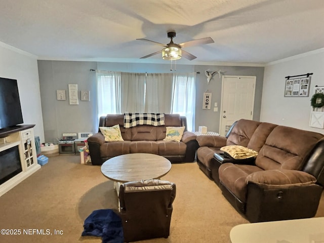 527 County Road 310, Palatka, FL 32177 - photo 33