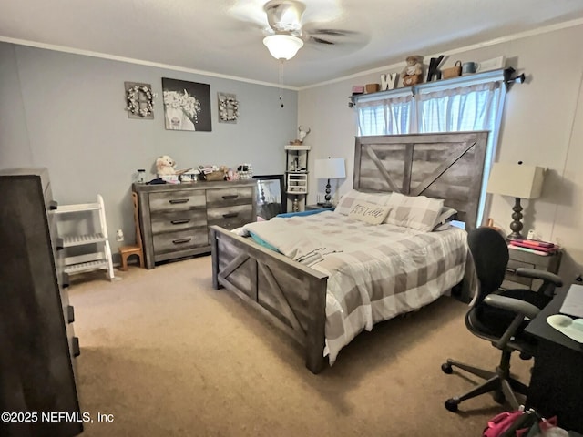 527 County Road 310, Palatka, FL 32177 - photo 37