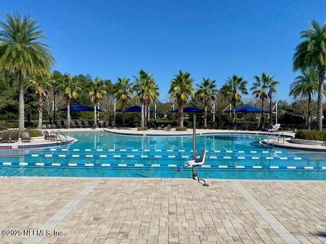 831 Aspen Leaf Dr, Jacksonville, FL 32081 - photo 40