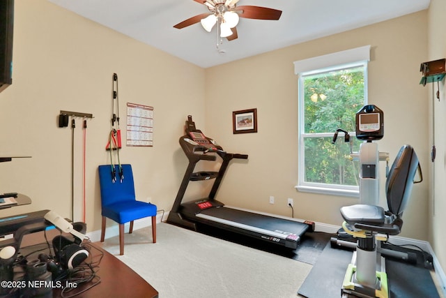 831 Aspen Leaf Dr, Jacksonville, FL 32081 - photo 35