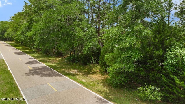 0 Wagner Rd, Jacksonville, FL 32219 - photo 3