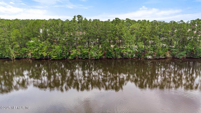 0 Wagner Rd, Jacksonville, FL 32219 - photo 2