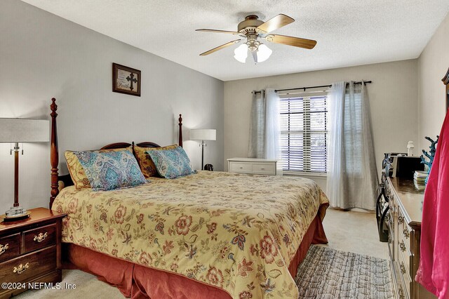 243 Beech Brook St, Jacksonville, FL 32259 - photo 13