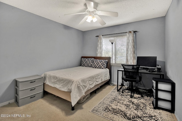 243 Beech Brook St, Jacksonville, FL 32259 - photo 16