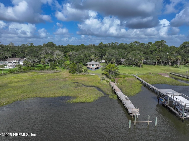 95085 Seymore Ln, Fernandina Beach, FL 32034 - photo 32