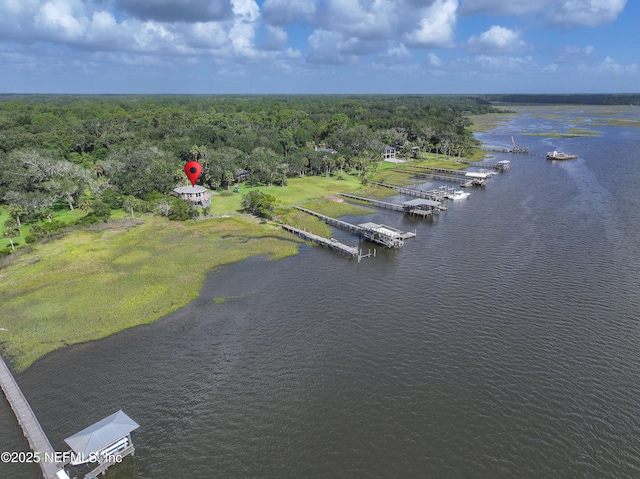 95085 Seymore Ln, Fernandina Beach, FL 32034 - photo 33