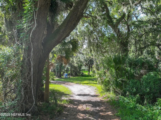 95085 Seymore Ln, Fernandina Beach, FL 32034 - photo 39