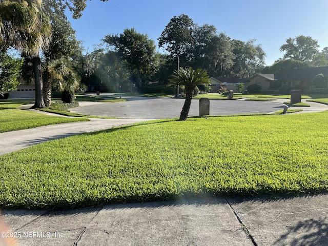 4308 Sage Oak Ct, Jacksonville, FL 32277 - photo 3