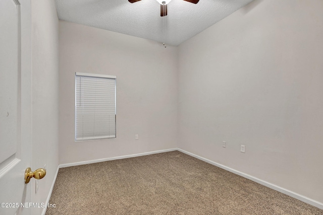 7920 Merrill Rd Unit 1306, Jacksonville, FL 32277 - photo 6