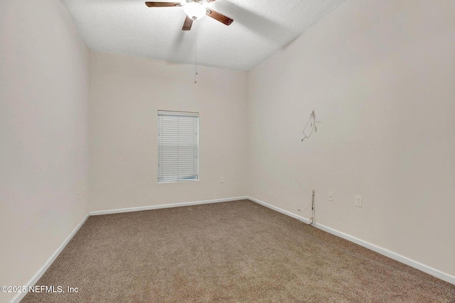 7920 Merrill Rd Unit 1306, Jacksonville, FL 32277 - photo 13