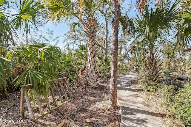 1898 Blue Heron Ln, Jacksonville Beach, FL 32250 - photo 40