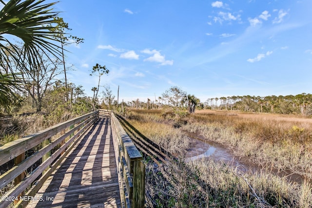 1898 Blue Heron Ln, Jacksonville Beach, FL 32250 - photo 41