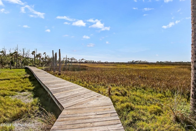 1898 Blue Heron Ln, Jacksonville Beach, FL 32250 - photo 43
