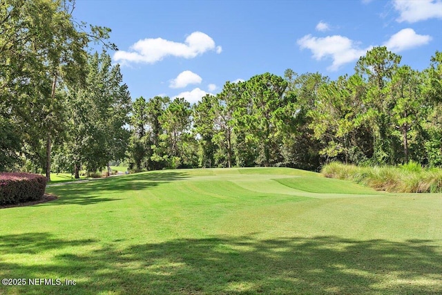 915 Brookhaven Dr, Saint Augustine, FL 32092 - photo 38