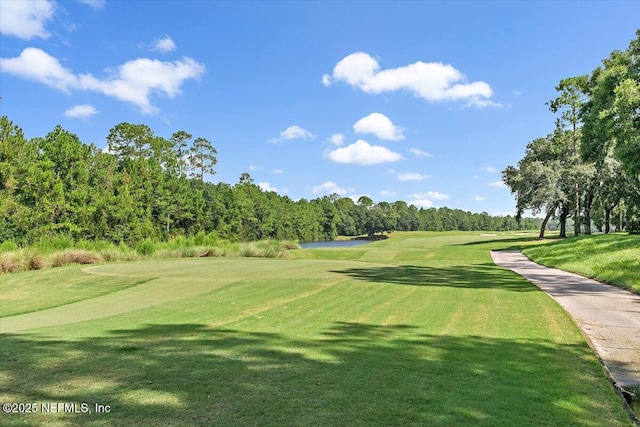 915 Brookhaven Dr, Saint Augustine, FL 32092 - photo 39