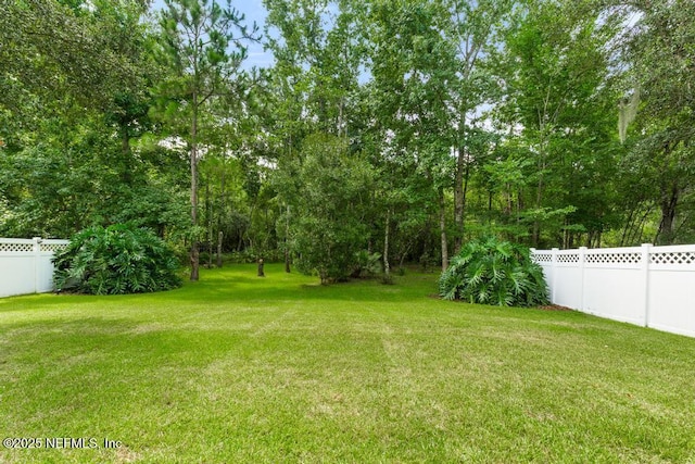 141 Castlegate Ln, Saint Johns, FL 32259 - photo 36