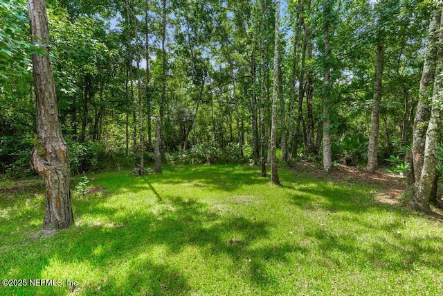 141 Castlegate Ln, Saint Johns, FL 32259 - photo 39
