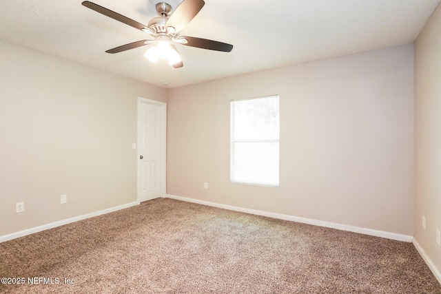 2043 Sessions Ln, Jacksonville, FL 32207 - photo 7