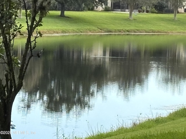 1896 Chatham Village Dr, Fleming Island, FL 32003 - photo 17