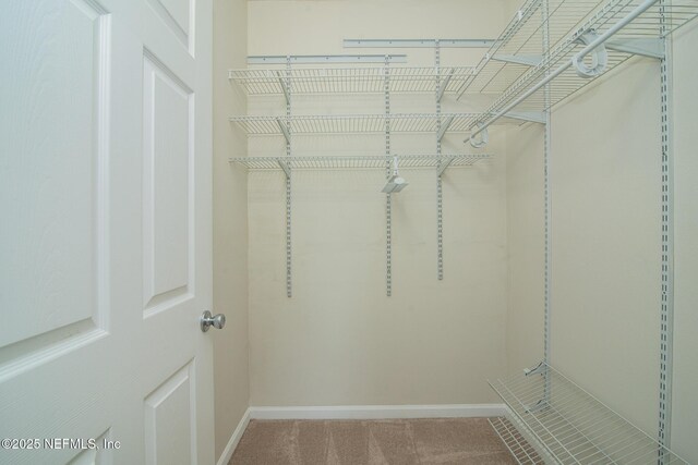 8227 Lobster Bay Ct Unit 306, Jacksonville, FL 32256 - photo 13