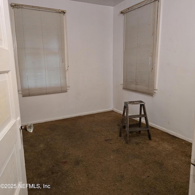 8135 Paul Jones Dr, Jacksonville, FL 32208 - photo 3
