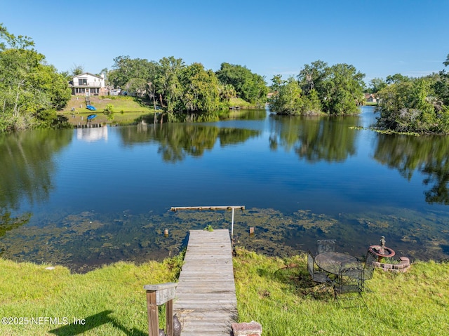 2911 Circle Ridge Dr, Orange Park, FL 32065 - photo 19