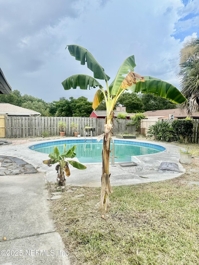 4075 Greenwillow Ln W, Jacksonville, FL 32277 - photo 5