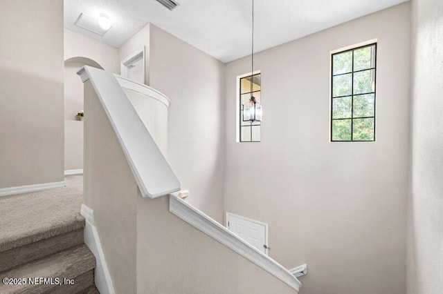 763 Ginger Mill Dr, Saint Johns, FL 32259 - photo 18