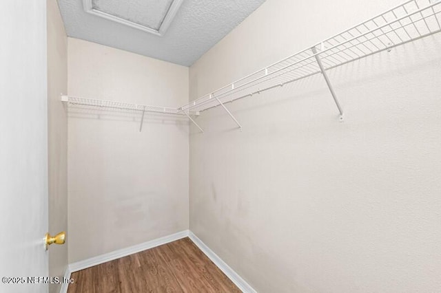 763 Ginger Mill Dr, Saint Johns, FL 32259 - photo 22
