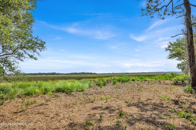 13091 Sawpit Rd, Jacksonville, FL 32226 - photo 4