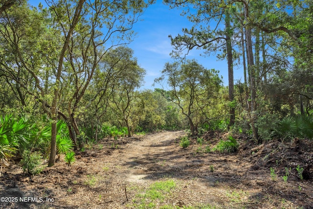 13091 Sawpit Rd, Jacksonville, FL 32226 - photo 11