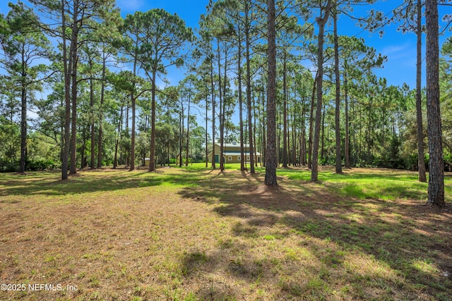 13091 Sawpit Rd, Jacksonville, FL 32226 - photo 5