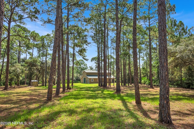 13091 Sawpit Rd, Jacksonville, FL 32226 - photo 6