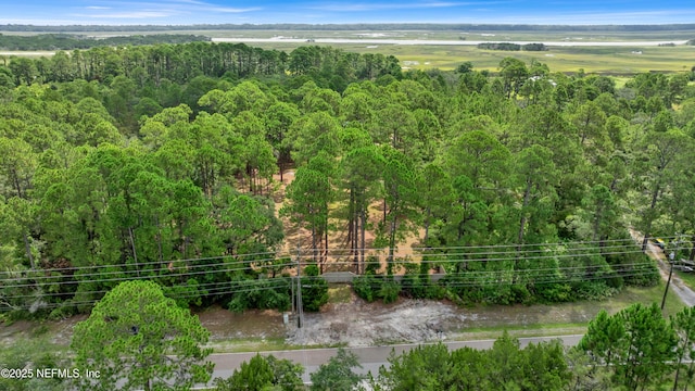 13091 Sawpit Rd, Jacksonville, FL 32226 - photo 13
