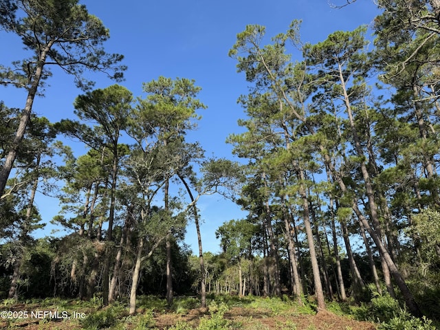 13091 Sawpit Rd, Jacksonville, FL 32226 - photo 17