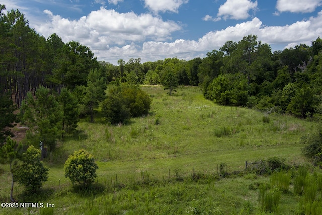20015 NE 45th Pl, Hawthorne, FL 32640 - photo 30