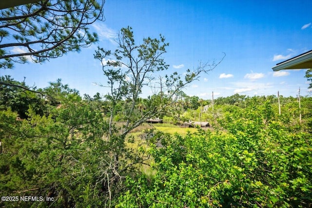 1800 The Greens Way Unit 1206, Jacksonville Beach, FL 32250 - photo 19
