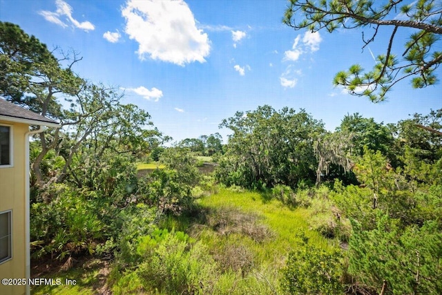 1800 The Greens Way Unit 1206, Jacksonville Beach, FL 32250 - photo 20