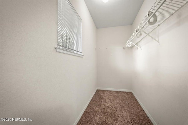 1800 The Greens Way Unit 1206, Jacksonville Beach, FL 32250 - photo 23