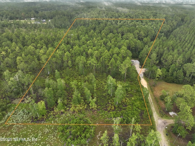 4409 Mark Allan Rd, Keystone Heights, FL 32656 - photo 1