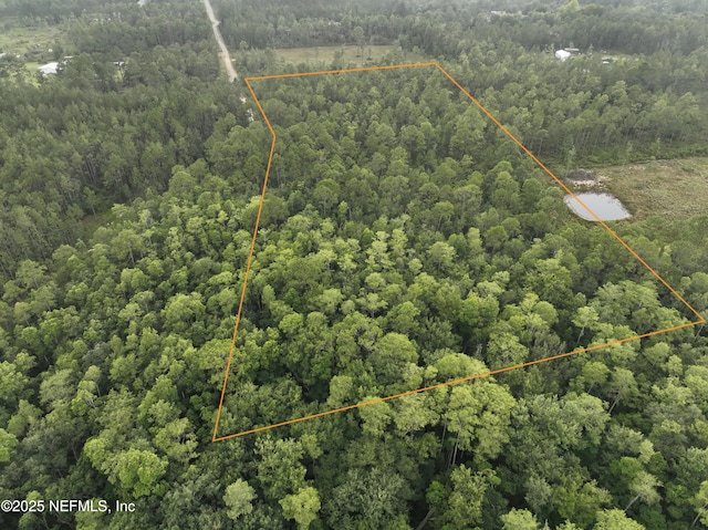 4409 Mark Allan Rd, Keystone Heights, FL 32656 - photo 2