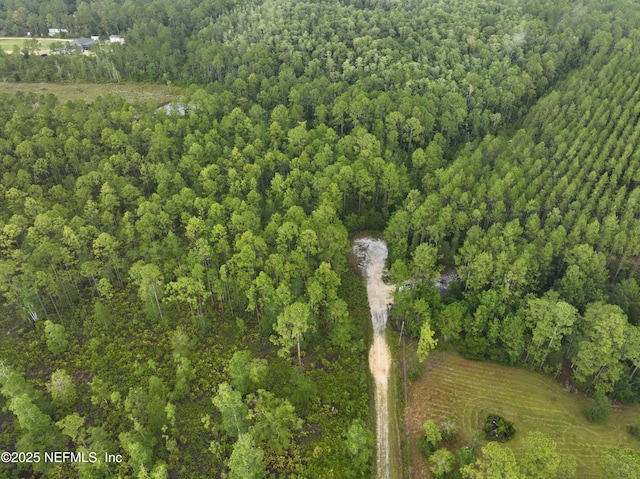 4409 Mark Allan Rd, Keystone Heights, FL 32656 - photo 3