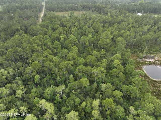 4409 Mark Allan Rd, Keystone Heights, FL 32656 - photo 6